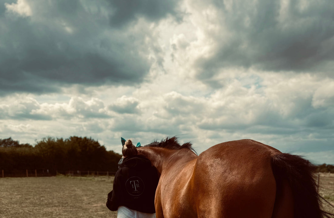 The Horses Behind The Brand